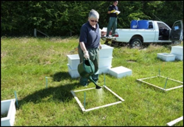 InveN 2 Ory field experiments - Urine and dung *Chadwick et al.