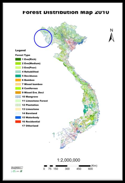 Example of REDD+ Cooperation (Vietnam) Project for Sustainable Forest Management in the Northwest Watershed Area Duration: 2010.08.