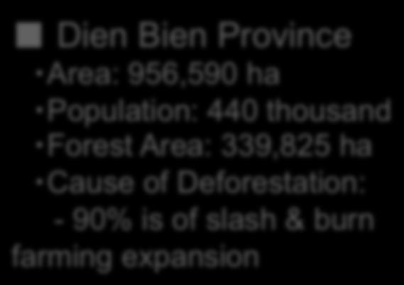 14 (5 years) Dien Bien Province C/P: Vietnam Administration of Forestry, Dien Bien Province Area: 956,590 ha Population: 440 thousand Activities: (1) Establish/Implement forest conservation and