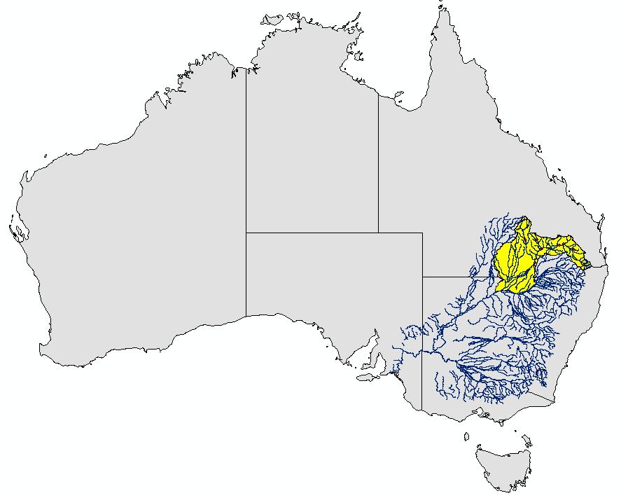 In this study, the EnKF and EnKS were compared through a synthetic soil moisture assimilation experiment in the Warwick catchment, an upstream catchment in the Condamine-Balonne River Basin.