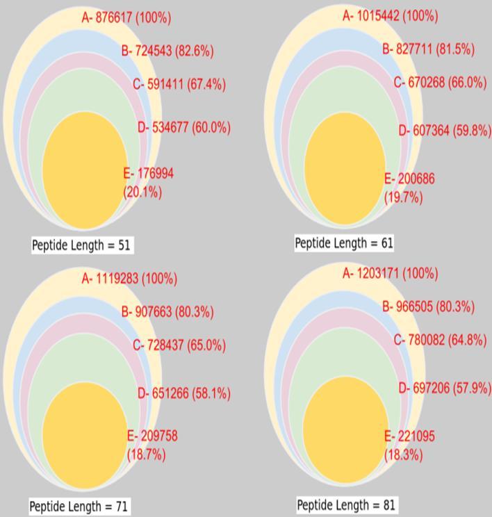 Understanding alignment behavior of short peptides Recursive circular diagrams (for peptide lengths of 51-81) Showing proportion of hits to non-parental KOgroups that share Enzyme Commission number