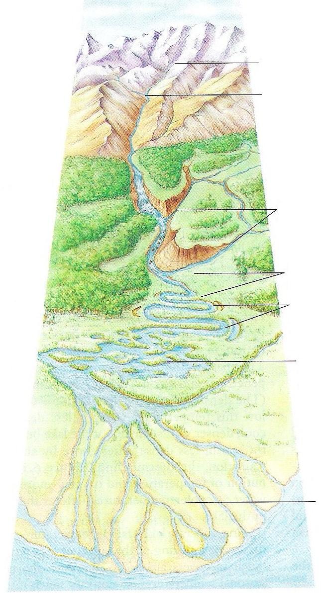 FEATURES OF A TYPICAL RIVER River begins at a source, often high in the mountains & fed by melting snows & glaciers Headwater streams flows downstream rapidly Along the way, smaller tributaries feed