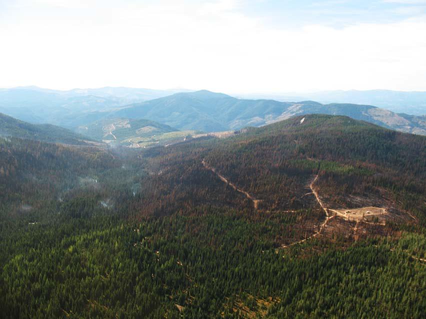Figure 1: Aerial view of Marble Creek Fire on 9 September, 2015 All timber would be harvested using a ground-based harvest system following current best management practices (BMP) and 2015 IPNF