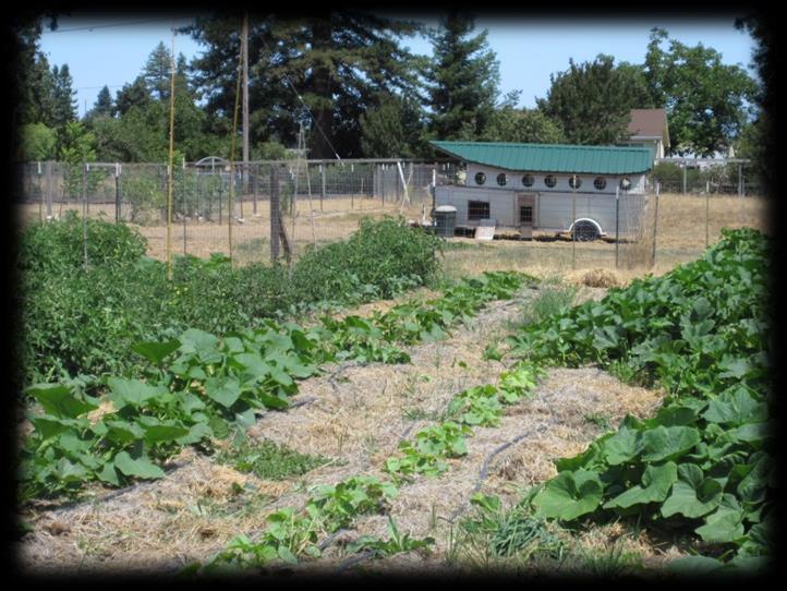 Case Study: Resilience-Building Farm Uses