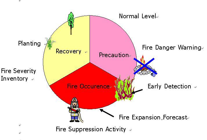 Basic Concept of Wild Fire