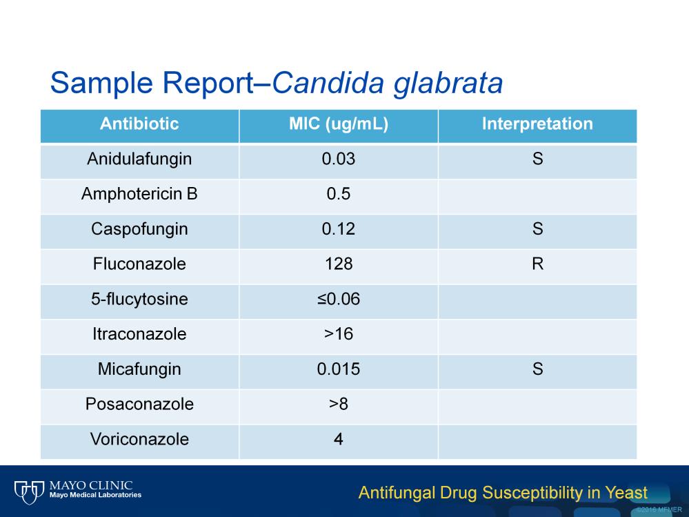 This slide presents a sample report for an isolate of Candida glabrata.