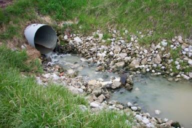 Disruption of nutrient cycling sewage,