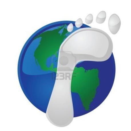 Comparing Footprints: the average American has an ecological footprint over four times larger than the