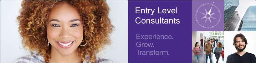 What will you do as an IBM Entry Level Consultant?