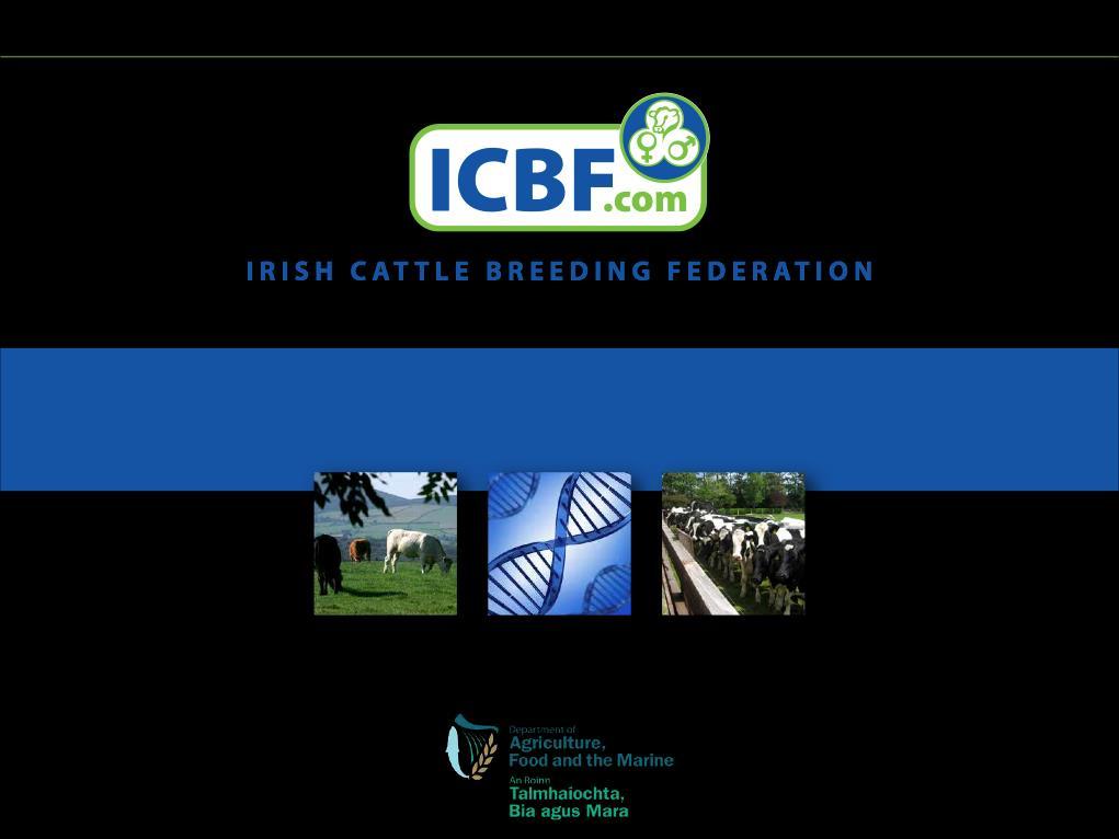How ICBF and cattle genetics are changing the