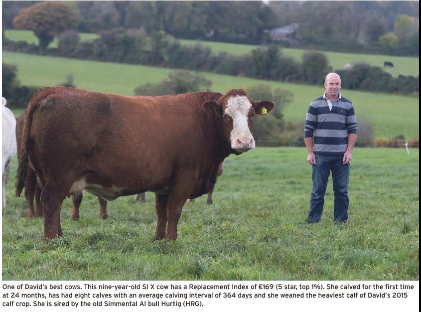 The Irish Beef Breeding Goal To generate more 5-star cows (i.e., for milk, fertility, weight for age.
