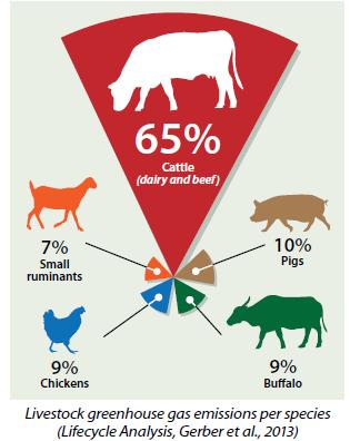 Current Problem 12% of global GHG emissions are from agriculture (figure is 33% for Ireland). Cattle are worst offenders.