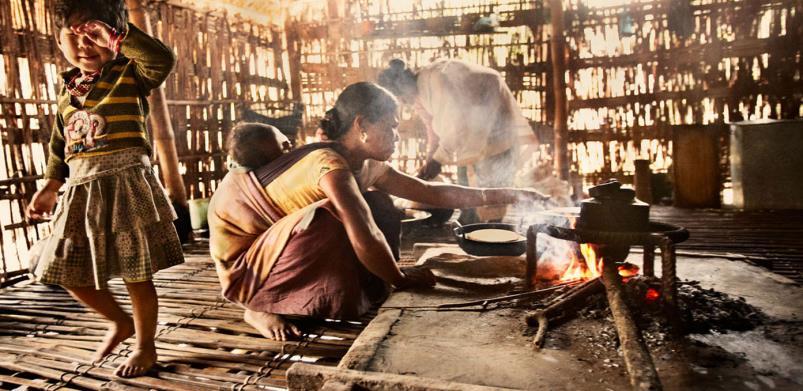 Subsistence Living Results in Short and Mean Lives While Destroying the Natural Environment The World Health Organization estimates that indoor air pollution led to 4.