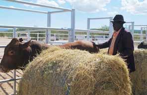 MEMBERSHIP Membership to Meatco is only available to Namibian producers of livestock who sell at least one unit of livestock at any of Meatco s facilities once every two years.