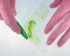 Preparing Leaf and Seed s Leaves, seedlings, or seeds must be ground and diluted in PBST sample extraction buffer.