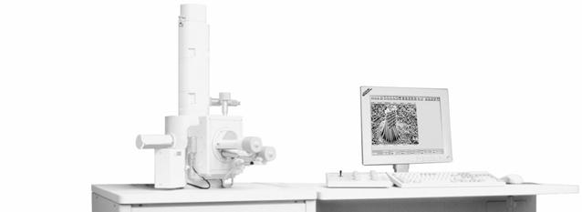 (2) scanning electron microscopy (SEM) used for microscopic