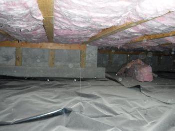 1. Walls Basement/Crawlspace Materials: Crawlspace noted. No deficiencies were observed at the visible portions of the structural components of the home. 2. Insulation 3.