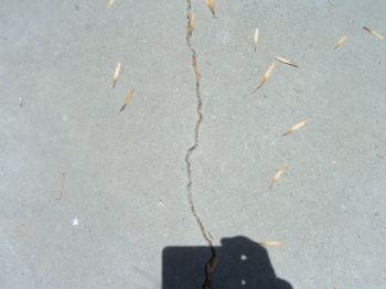Patio area Walkway in front yard is bad is cracked and is a possible trip hazard.