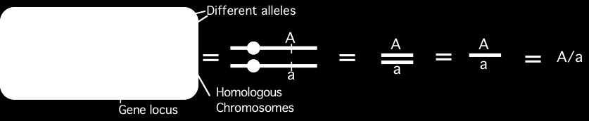 A.1 Gene names and symbols Usually, gene names are unique and their corresponding symbols are unique letters or combinations of letters.