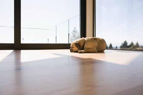 more comfortable. many elements can impact the energy-efficiency of your Vista window, such as the use of low-e glass and the gas that fills the space between the glass.