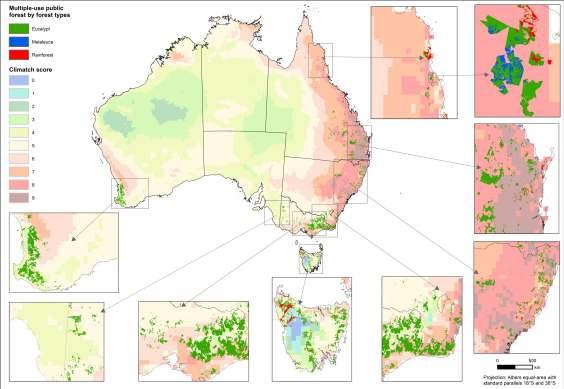 Naive forest by climaic suitability for myrtle rust eucalypt,