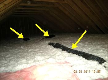 1. Access Type of access: Scuttle Attic Visual inspection from access point Attic not designed to be walked in The scuttle is a thin 1/4" board with loose R-30 fiberglass bats laying over it for