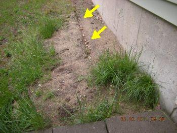 Grading Grade at foundation should conduct water away from house at a