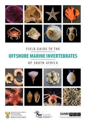 Field Guide to the Offshore Marine Invertebrates (in collaboration with SAEON)