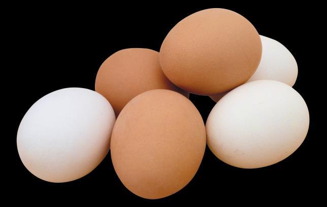 Egg processing Egg white concentration Process details High product quality due to