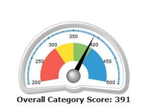 The Overall Score for this category is 391. This score is an average of all survey items and serves as a broad indicator for comparison within the organization. Scores typically range from 325 to 375.