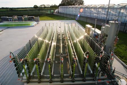 Cultivations systems (24 m 2 ) Open pond - Reference Horizontal tubes - high light intensity - oxygen accumulation