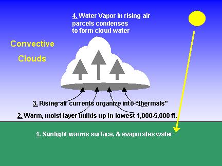 Water vapor condenses into tiny droplets that form clouds.