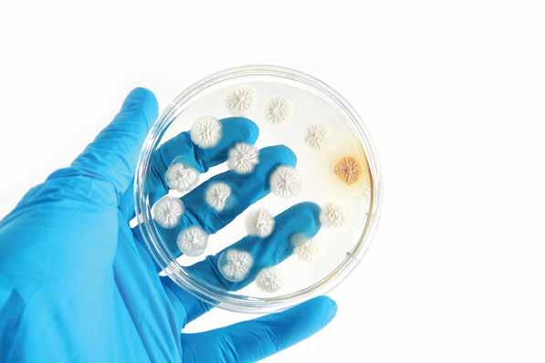 Microbiological activity of ProGarda TESTING PROTOCOLS USED BS EN 1276 Test Procedure The product undergoes an efficacy screen based on the European Suspension Test after five minutes contact time in