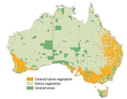 Contents Australian farming at a glance Australian risk/return Cost of Production Tooraweenah Pastoral Company Overview Key