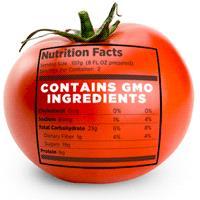 Are foods and ingredients developed from
