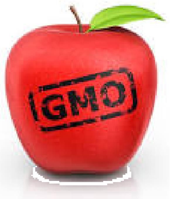Have GM products on the international market passed a risk assessment?