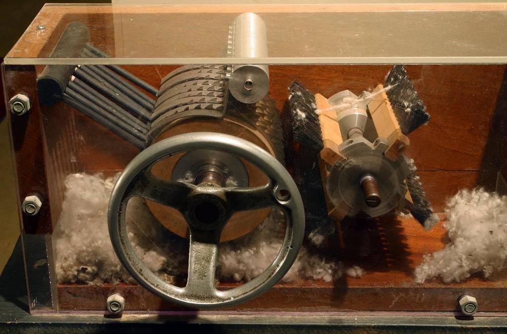8. Who invented the Cotton Gin? What did it do?
