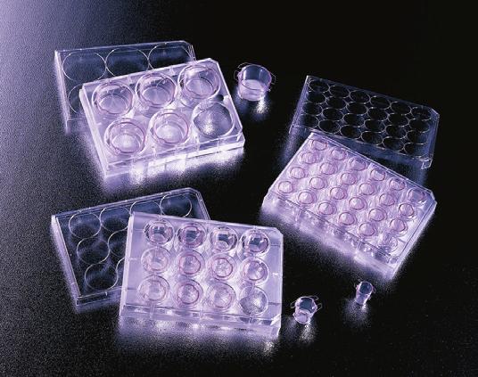 The surface minimises cell attachment, protein absorption, and enzyme activation. It is ideal for culturing stem cells, as it promotes embryoid body formation from ES cells.