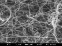 RESULTS AND DISCUSSION Figure 1 and Figure 2 show the SEM and TEM images of the thin-cnfs, respectively: (a) FMM