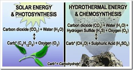 Chemosynthesis The process by which organisms use