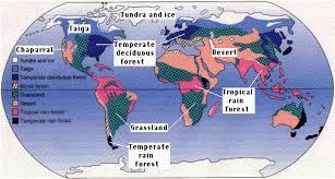 Biome A group of ecosystems that have the