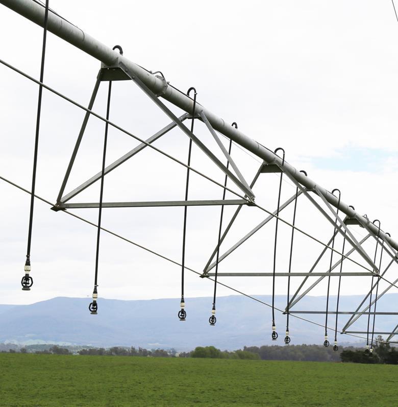 Irrigation in Grass Seed Crops Most Willamette Valley grass seed crops are grown without irrigation but increases in irrigated land (now 281,323 acres) means it is more likely.