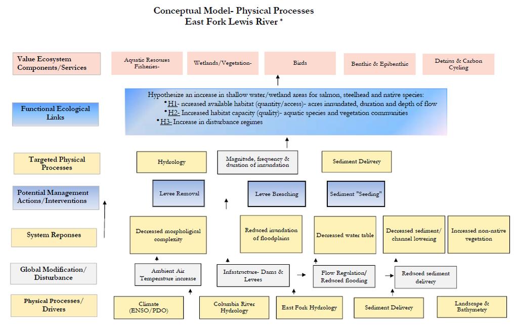 Conceptual Model * Model based on Trinity River