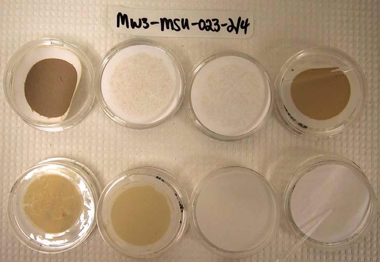 Sediment Levels in Filtrates from the Low Flow Purge (MW3-MSU-025-2) and