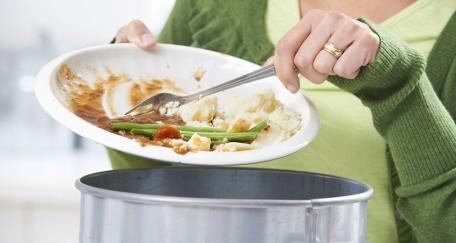Household food wastes (HFW): meal leftovers and food preparation