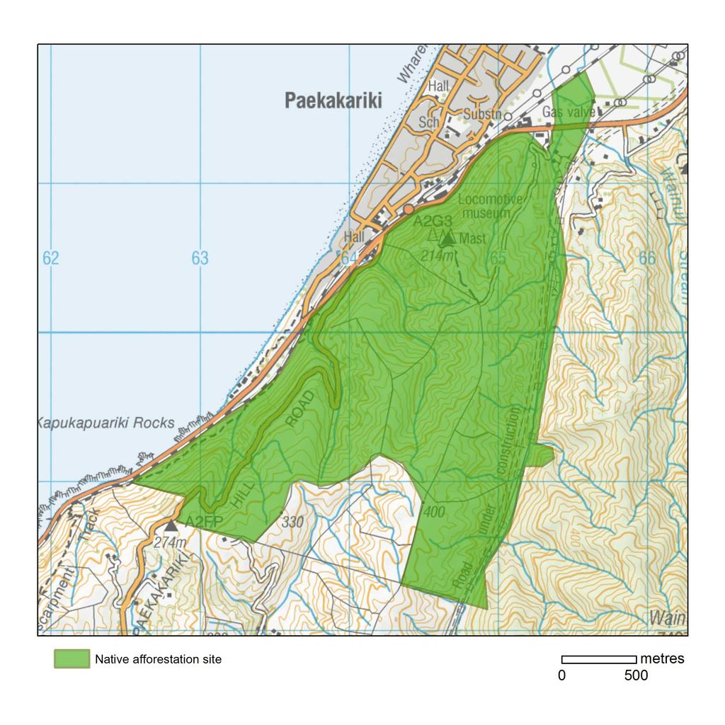 Paekakariki Native forest buffer, native forest corridor, periodically floodable land, riparian margins, erosion prone land,