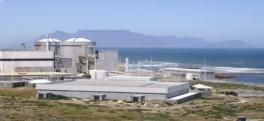government Supplies approximately 95% of South Africa s electricity and more than 40%