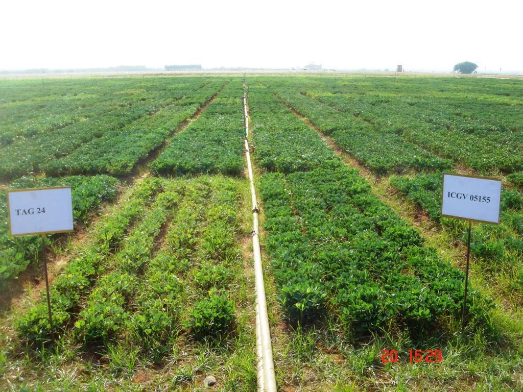 (4b) Phenotyping tools drought tolerance Empirical approach Trait