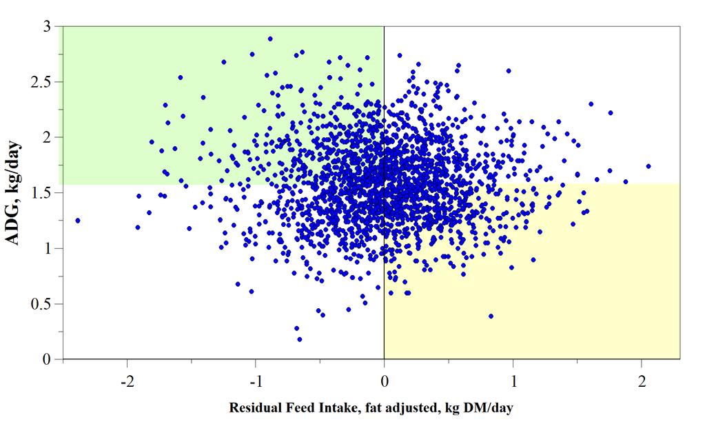 Economic Potential of RFI & Growth in feeder cattle (N =2029) ADG=1.90 kg/day -0.41 kg DM/day +$42/hd ADG=1.89 kg/day 0.