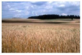 Payments for ensuring supplies today arable land grassland